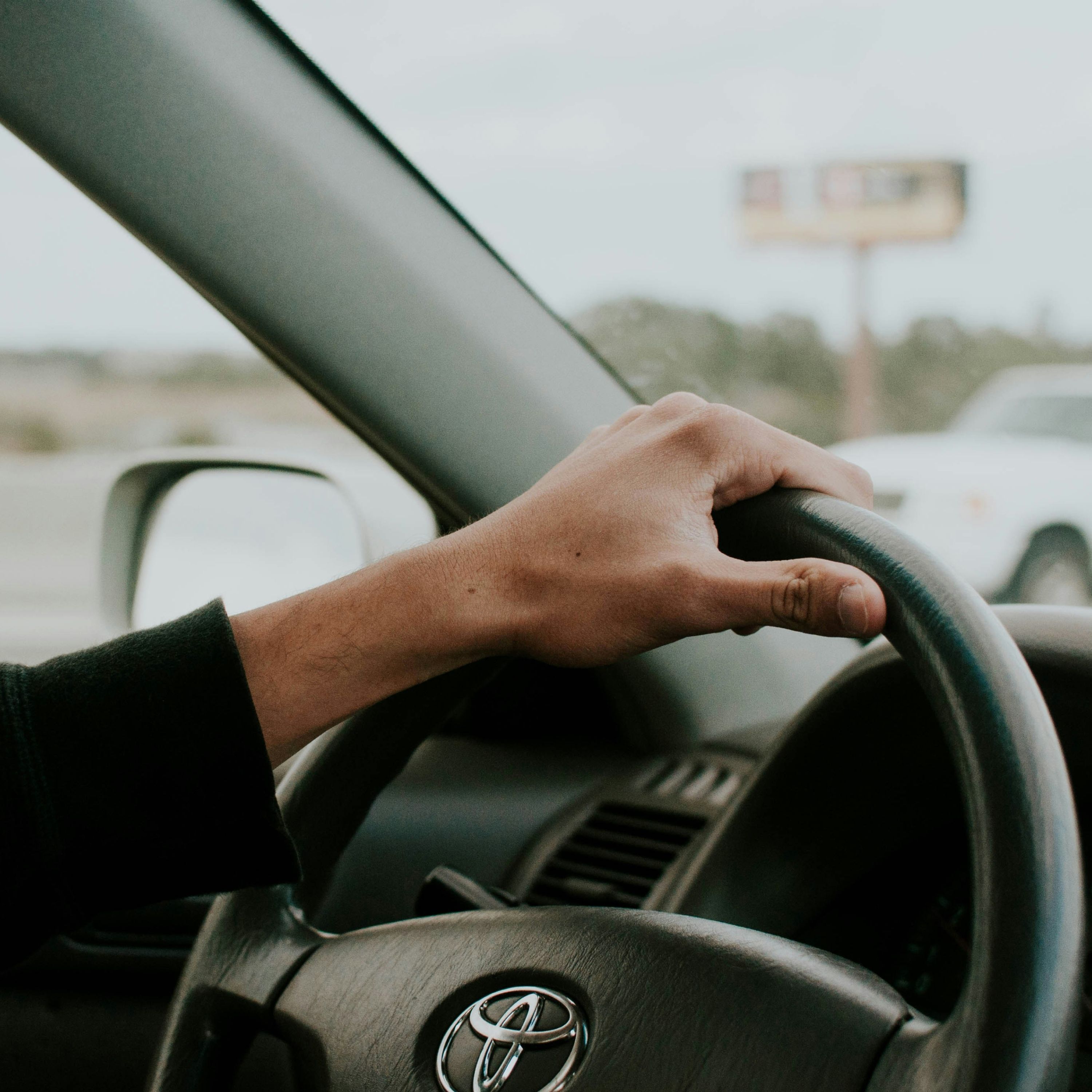 Long distance transport